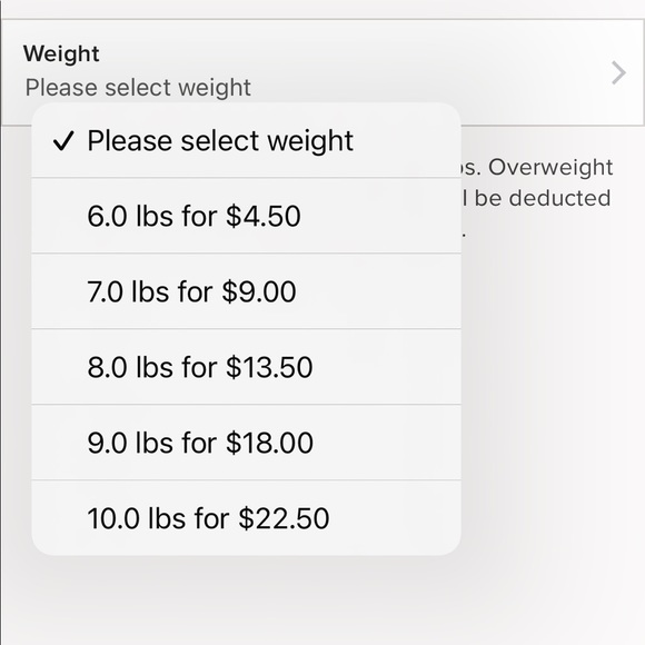 SOLD Silver Cat Tree Condo - Picture 10 of 10